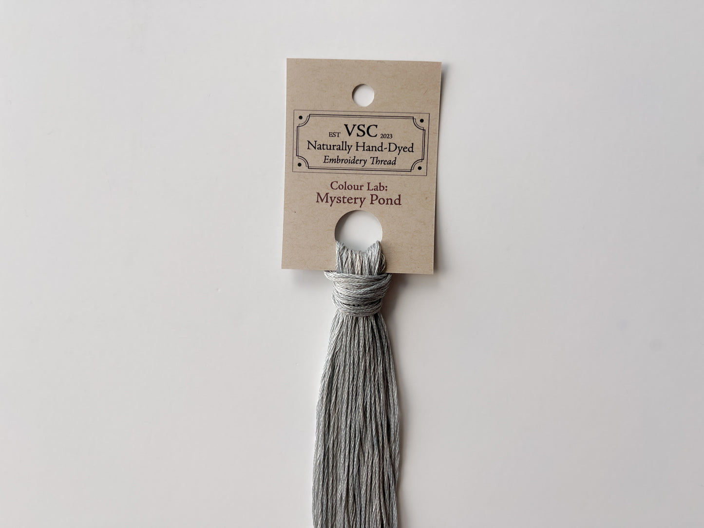 Mystery Pond C - Colour Lab Collection - Naturally Hand-Dyed Embroidery Floss