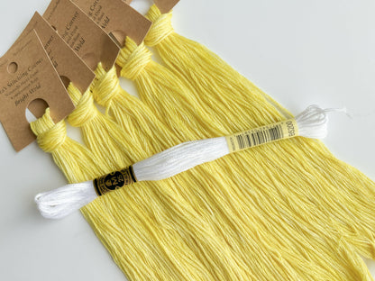 Bright Weld - Naturally Hand-Dyed Embroidery Floss - Vera's Stitching Corner