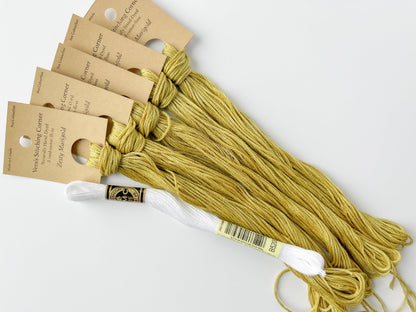 Zesty Marigold - Naturally Hand-Dyed Embroidery Floss - Vera's Stitching Corner